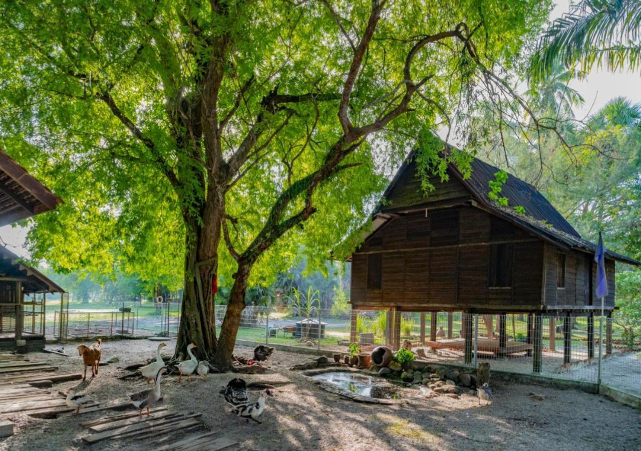 Pelangi Beach Resort & Spa, Langkawi Resort 5*